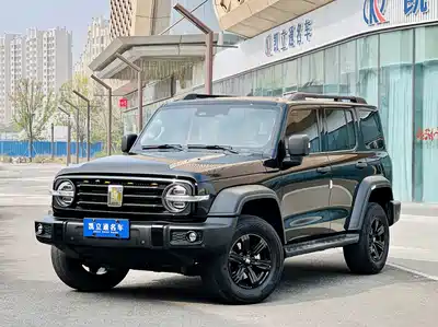 Tank 300