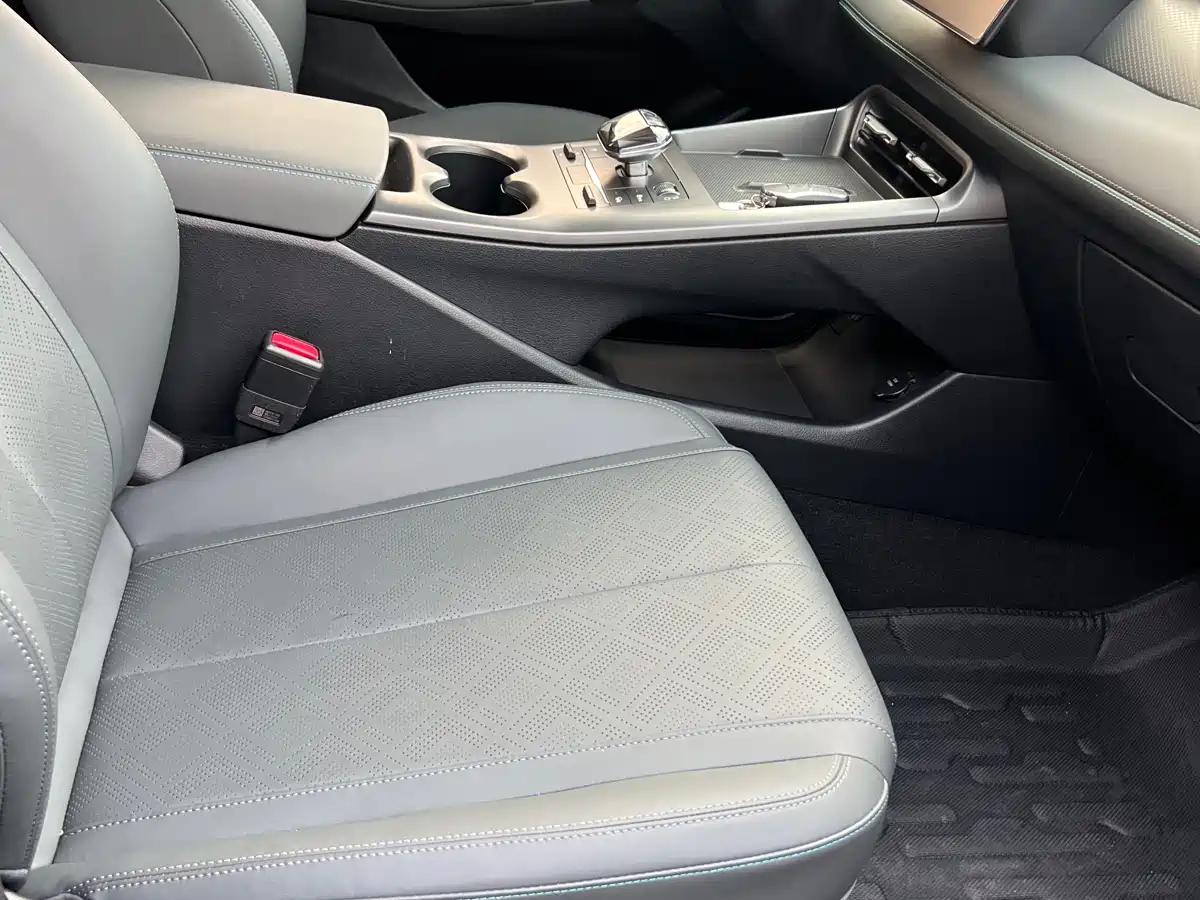 BYD Qin PLUS 2025 DM-i Smart Drive Edition 55KM Surpassing Type фото 8