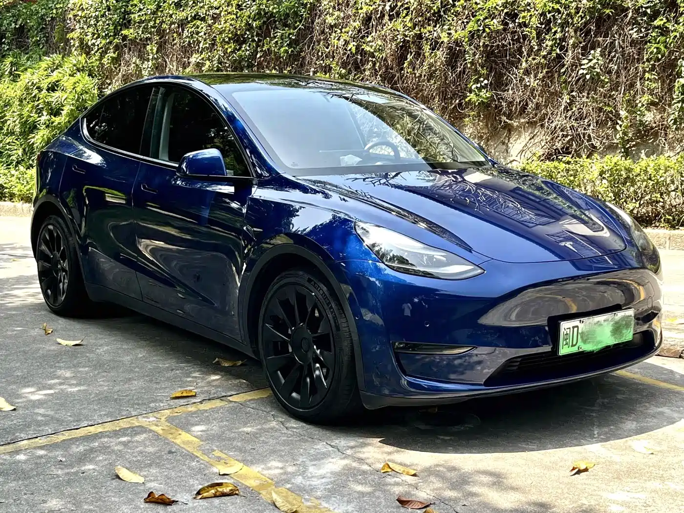 TESLA MODEL Y