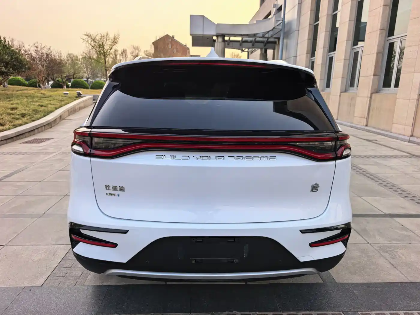 BYD Tang New Energy 2021 DM-i 112KM Premium фото 5
