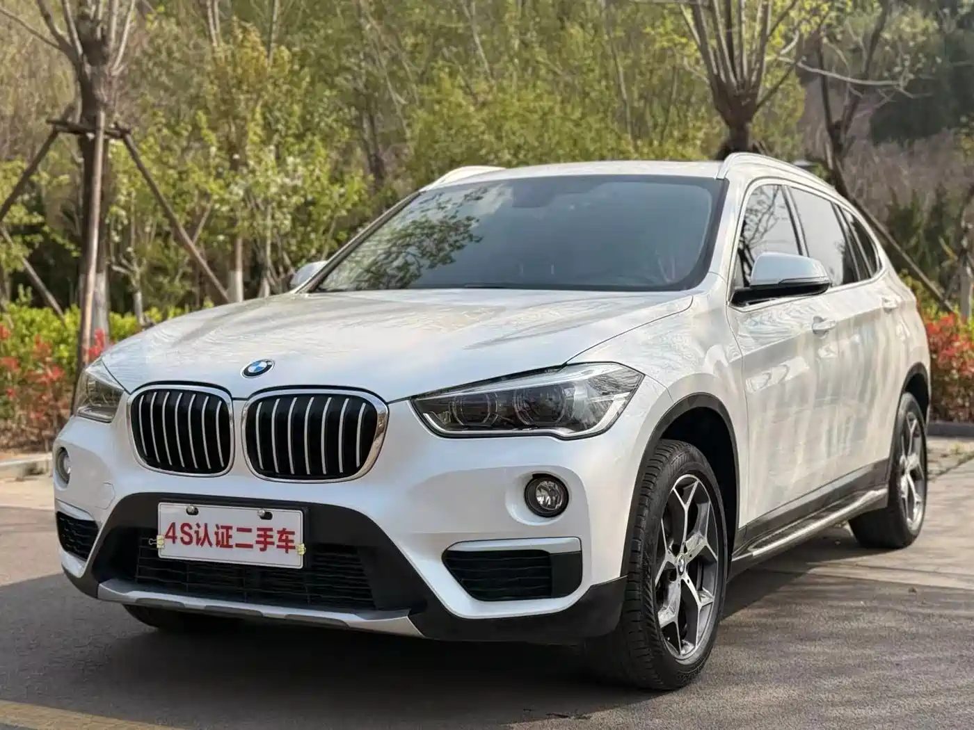 BMW X1 2019 xDrive20Li Premium Model фото 2