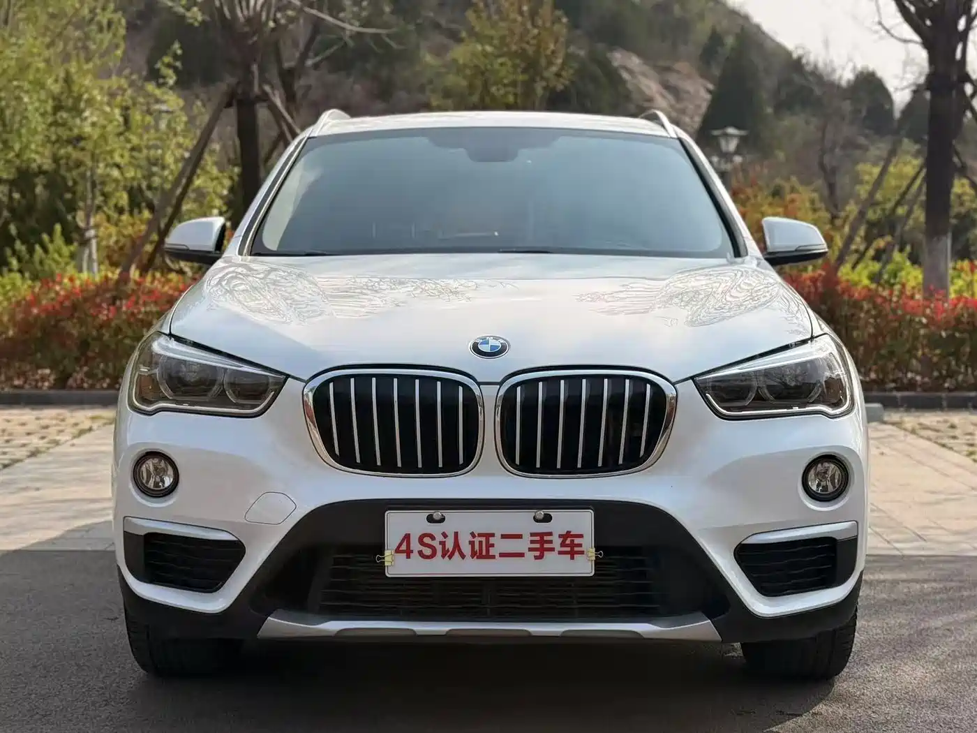 BMW X1 2019 xDrive20Li Premium Model фото 3
