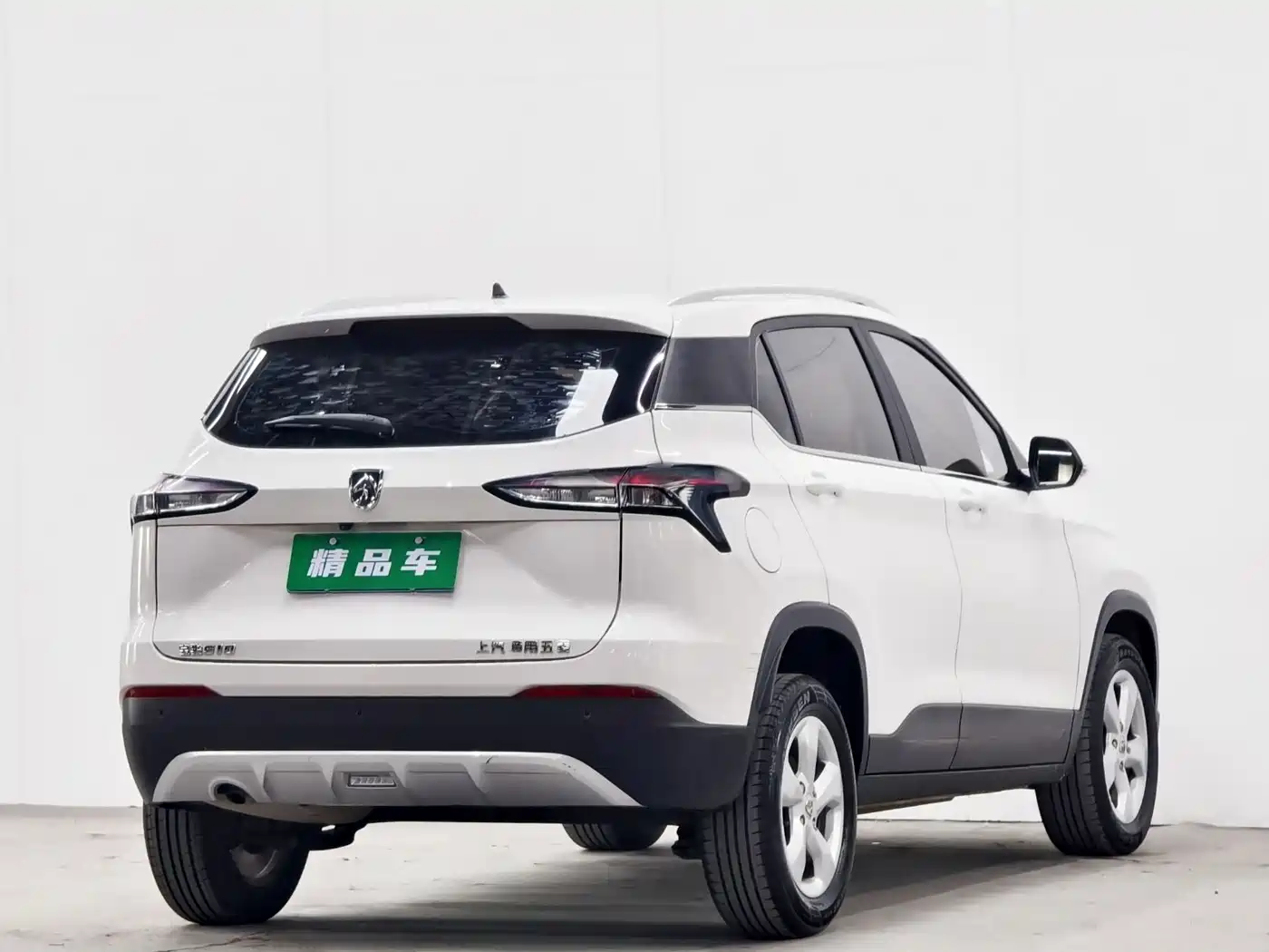 BAOJUN 510