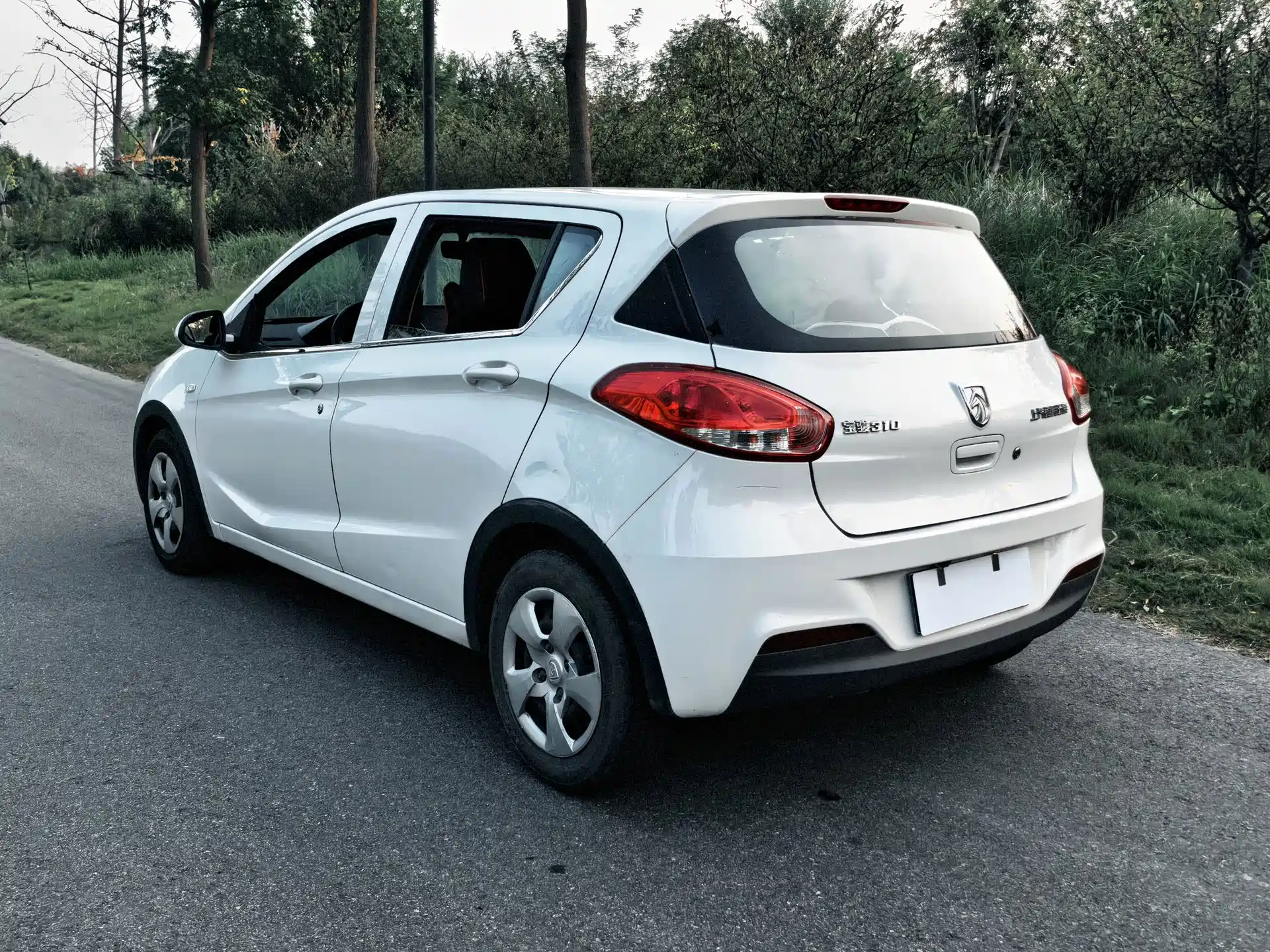 Фото 6 - Baojun 310