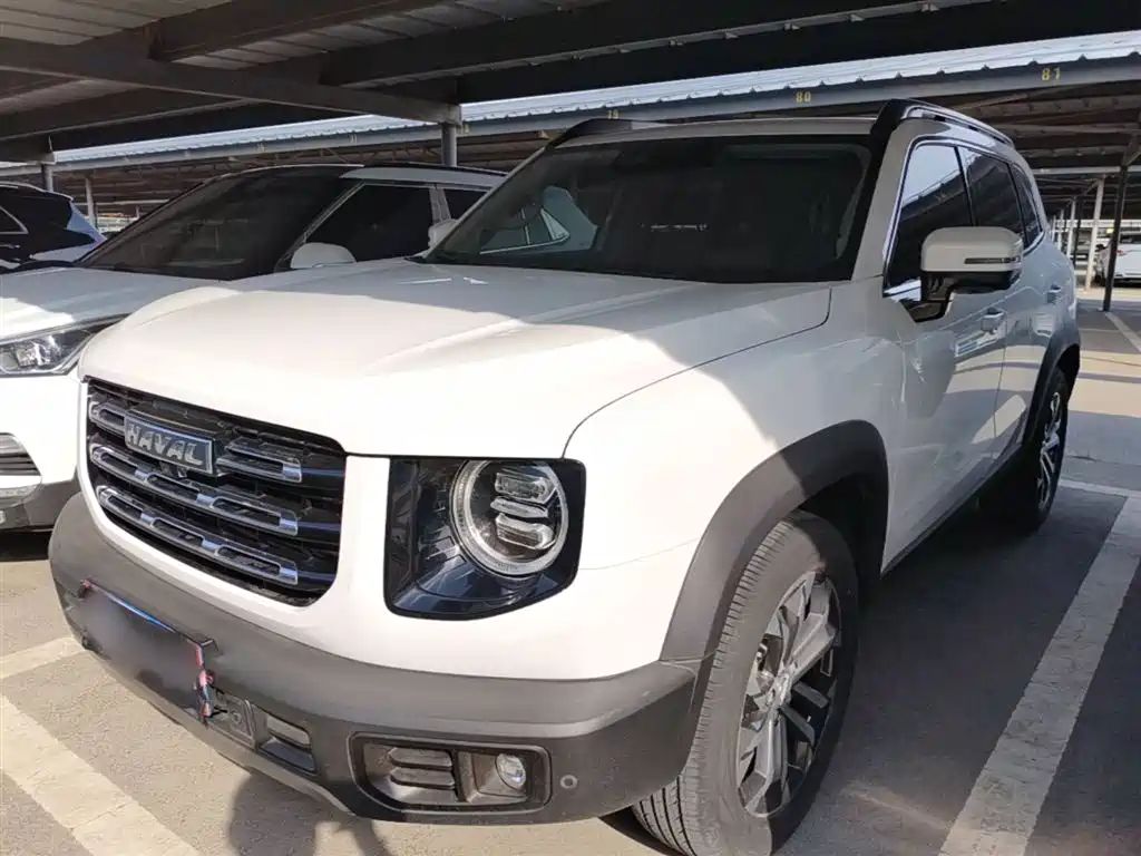 Haval Big Dog 2021 1.5T DCT 2WD Border Collie Edition