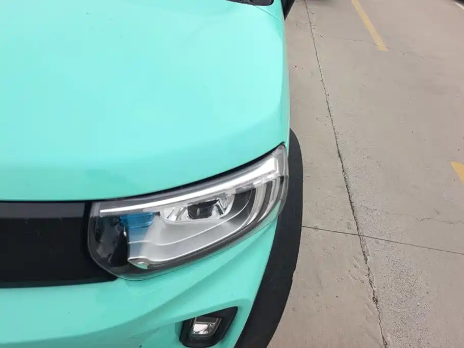 LITE LITE 2019 2019 R300 Magic Edition