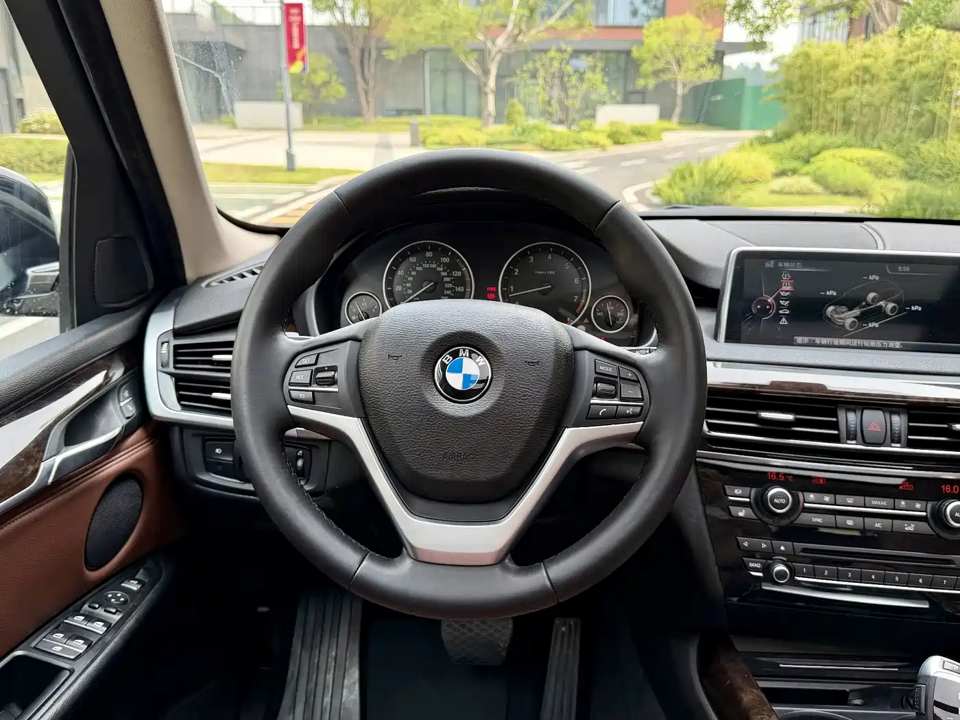 BMW X5 (Import) 2014 xDrive35i Luxury фото 16