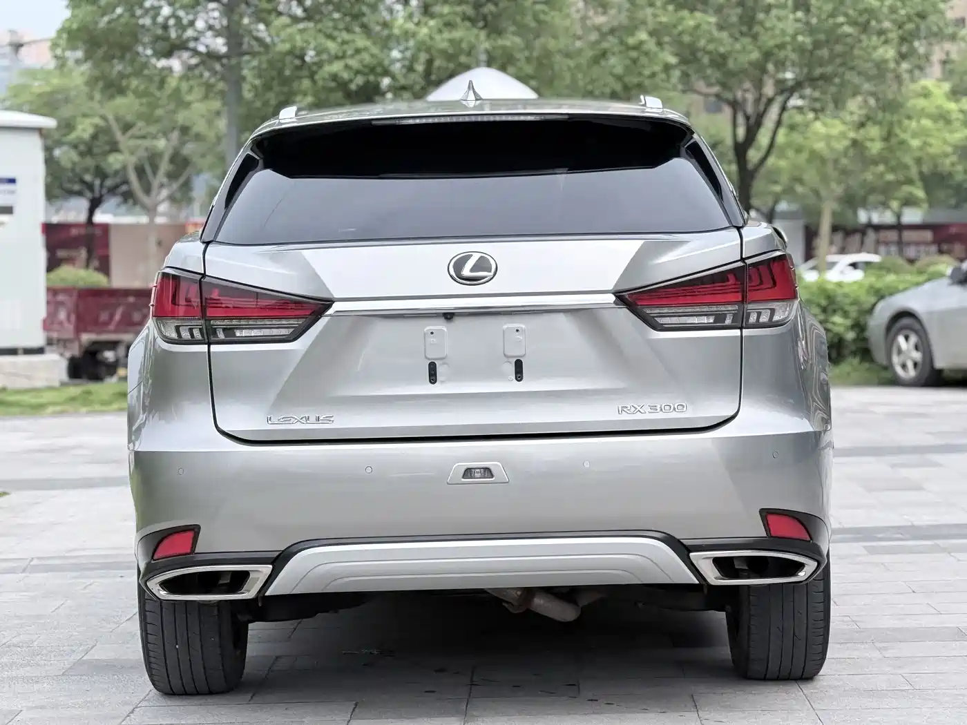 Lexus RX 2020 300 AWD Elegance Edition China V фото 4