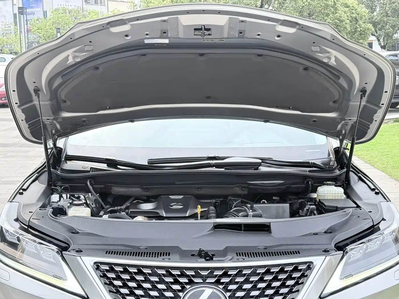 Lexus RX 2020 300 AWD Elegance Edition China V фото 20