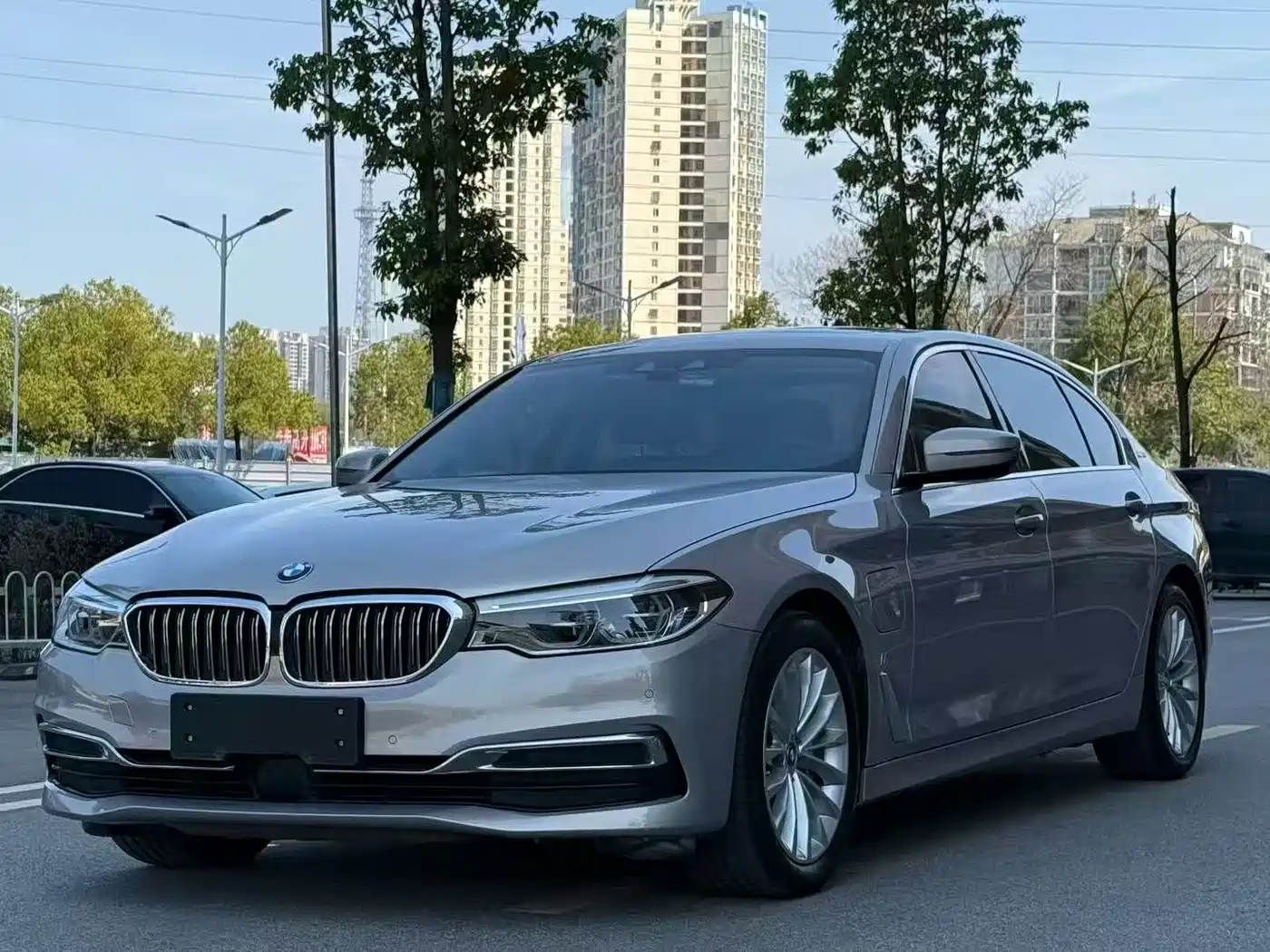 BMW 5 Series New Energy 2019 530Le Luxury Package