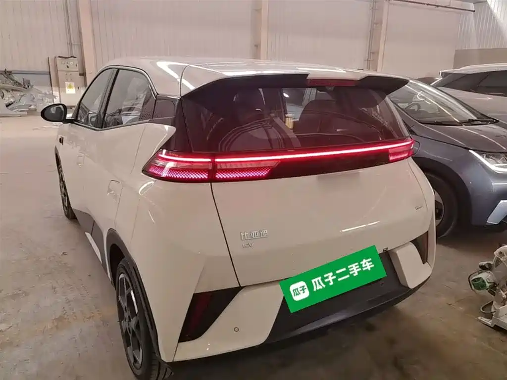 BYD Seagull 2025 Smart Drive Edition 305km Freedom Version фото 5