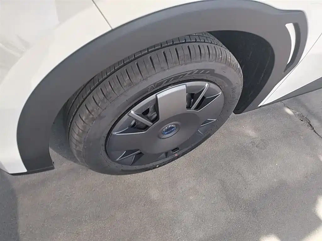 BYD Seagull 2025 305km Vitality фото 23