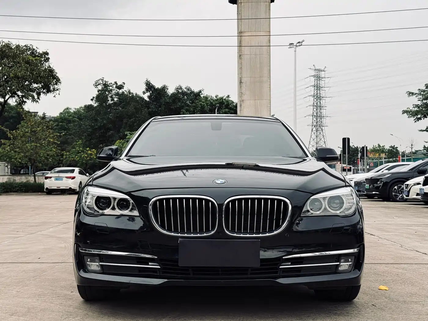 BMW 7 Series 2014 730Li Premium фото 2