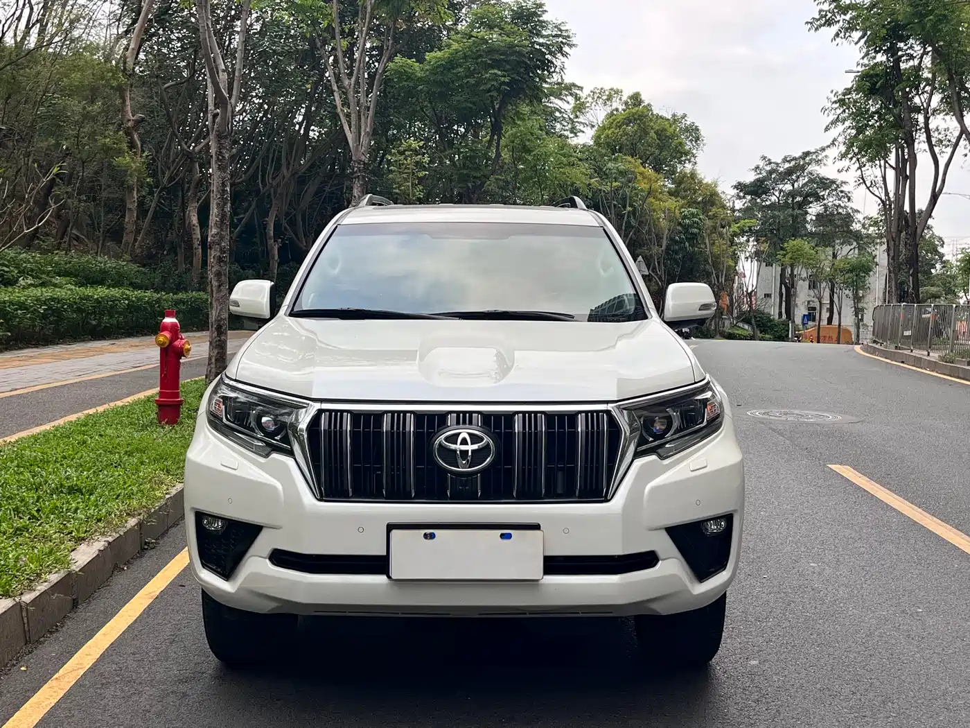 Toyota Prado 2018 3.5L Automatic TX-L NAVI Rear-mounted Spare Tire фото 3
