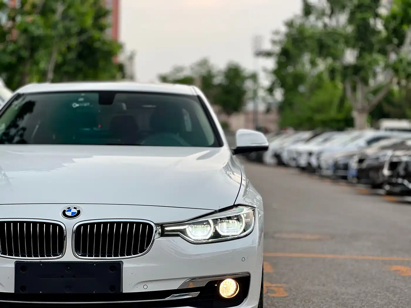 BMW 3 Series 2016 320Li Luxury Design Package фото 23