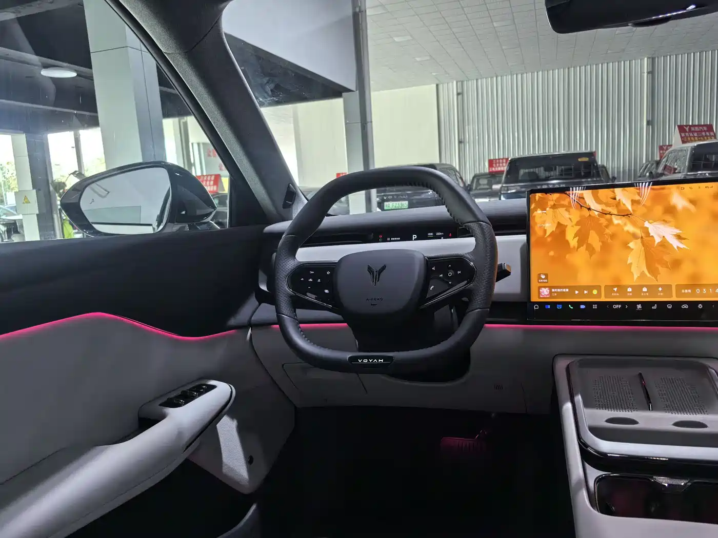 Voyah Auto Voyah Zhiyin 2024 Long Range Smart Edition фото 10