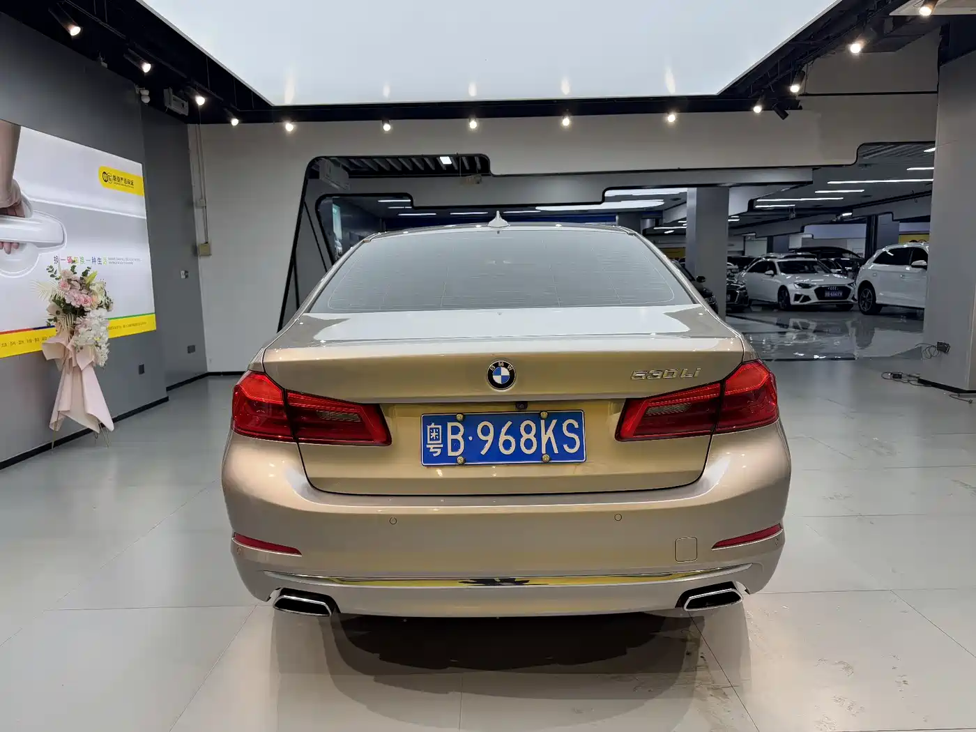 BMW 5 Series 2020 530Li Premium Luxury Package фото 8