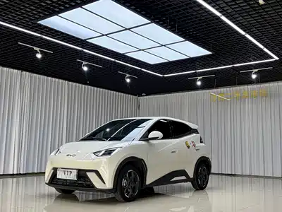 BYD Seagull
