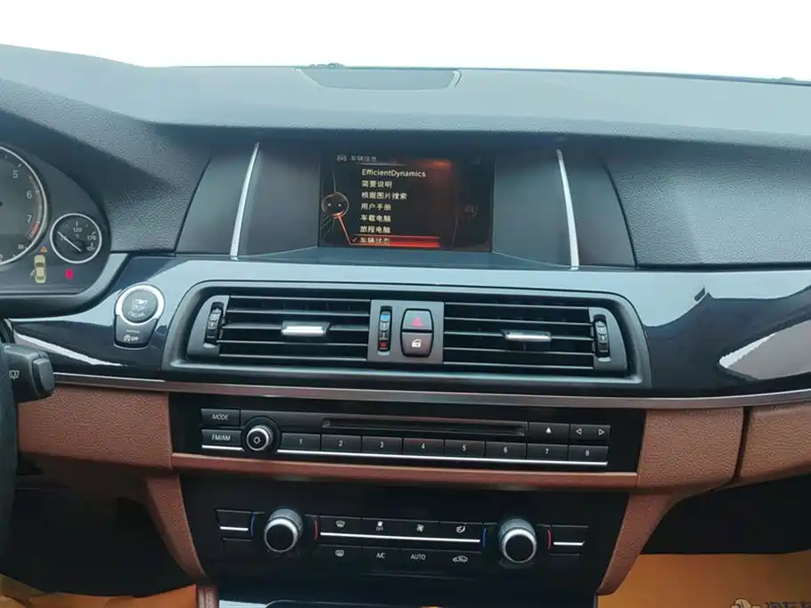 BMW 5 Series 2014 520Li Elegance фото 13