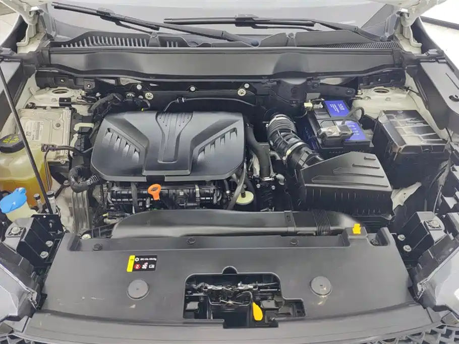 Haval H6 2021 3rd Generation 2.0T Auto 2WD Max фото 10