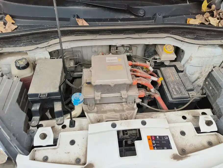Roewe Clever 2023 2022 311km Vitality Bobo Edition