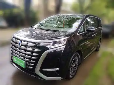 Denza D9