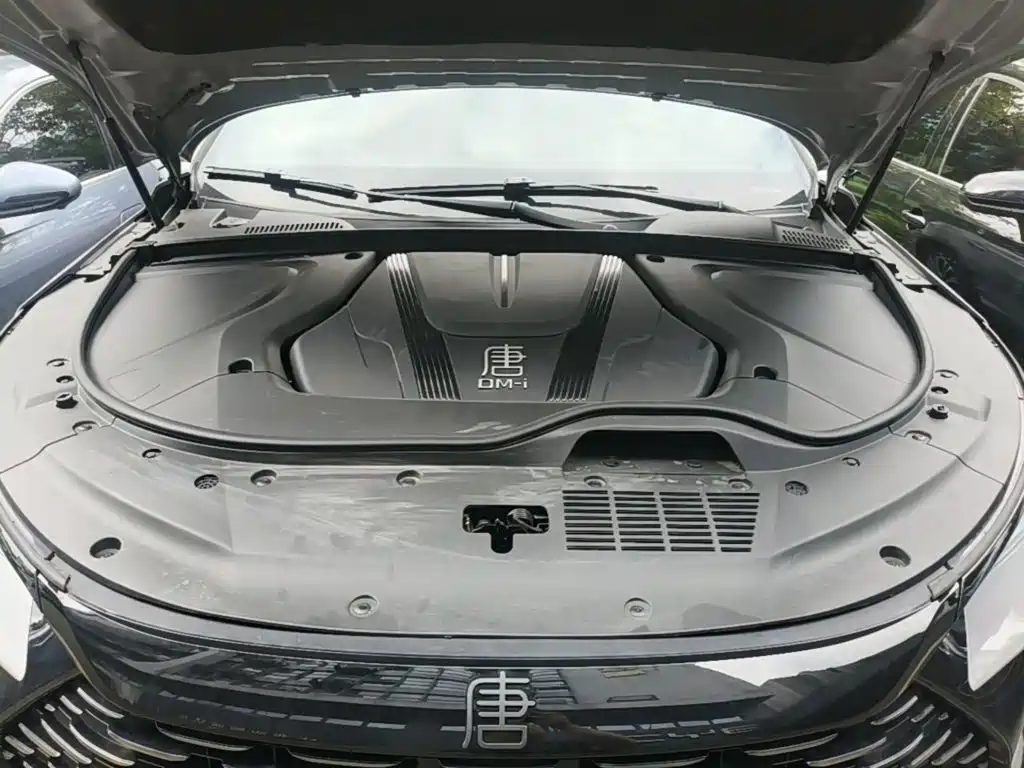 BYD Tang New Energy 2025 2026 Smart Drive Edition DM-i 160KM Premium