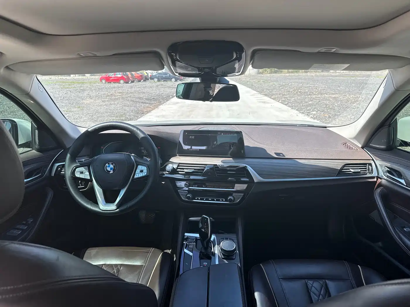 BMW 5 Series 2020 530Li xDrive Luxury Package фото 6