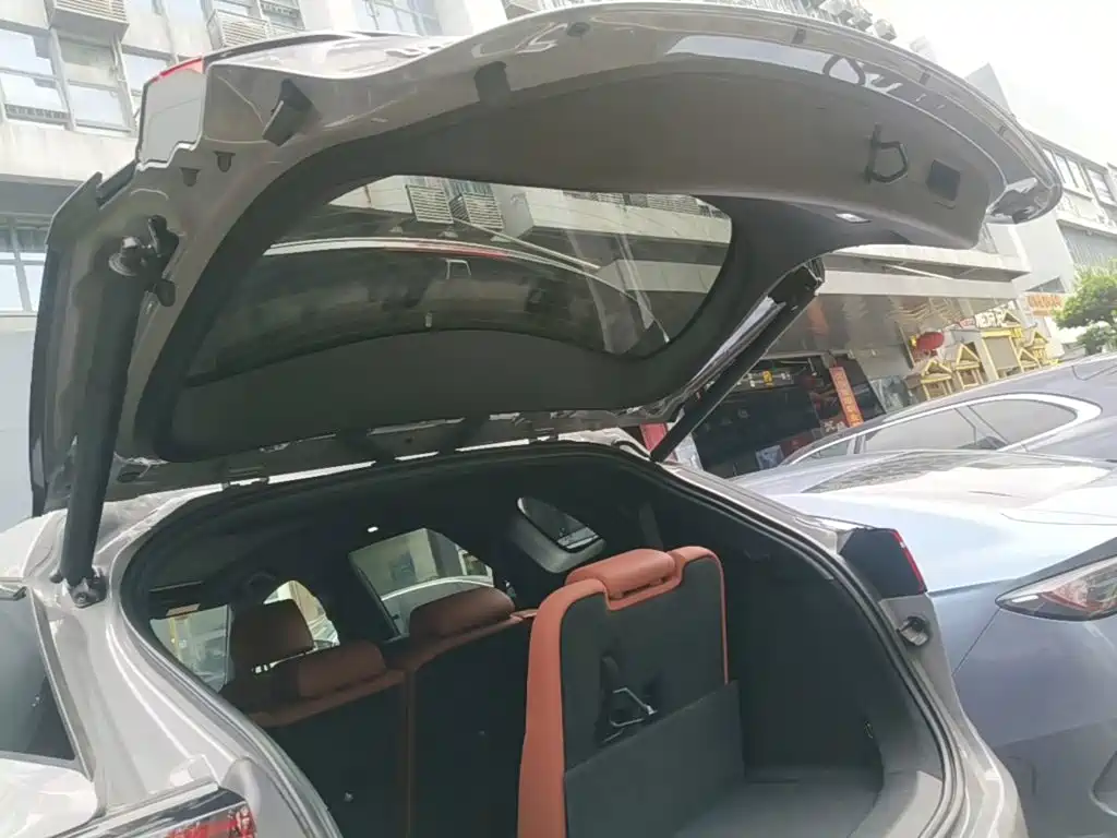 BYD Tang New Energy 2025 2026 Smart Drive Edition DM-i 160KM Premium