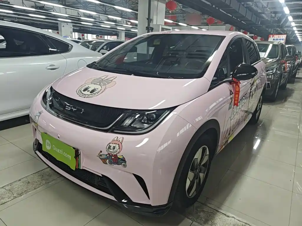 BYD Dolphin 2024
