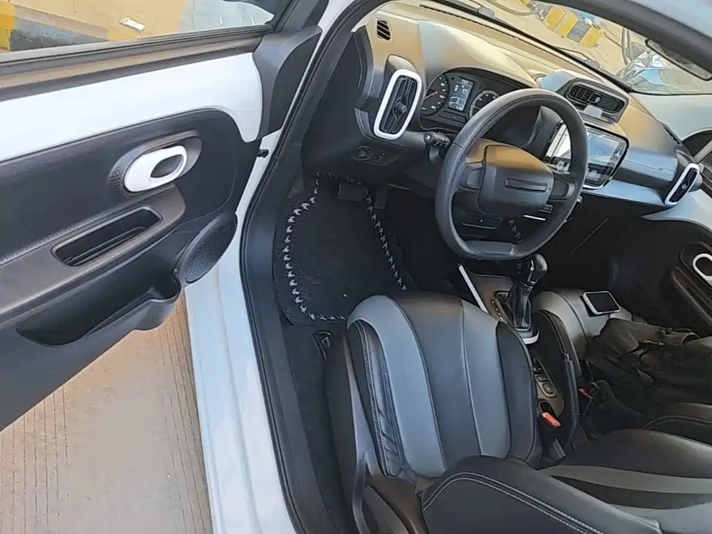 Roewe Clever 2023 2022 311km Vitality Bobo Edition