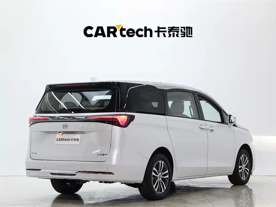 Buick GL8 2025 Land Business Class Comfort DG Edition фото 4
