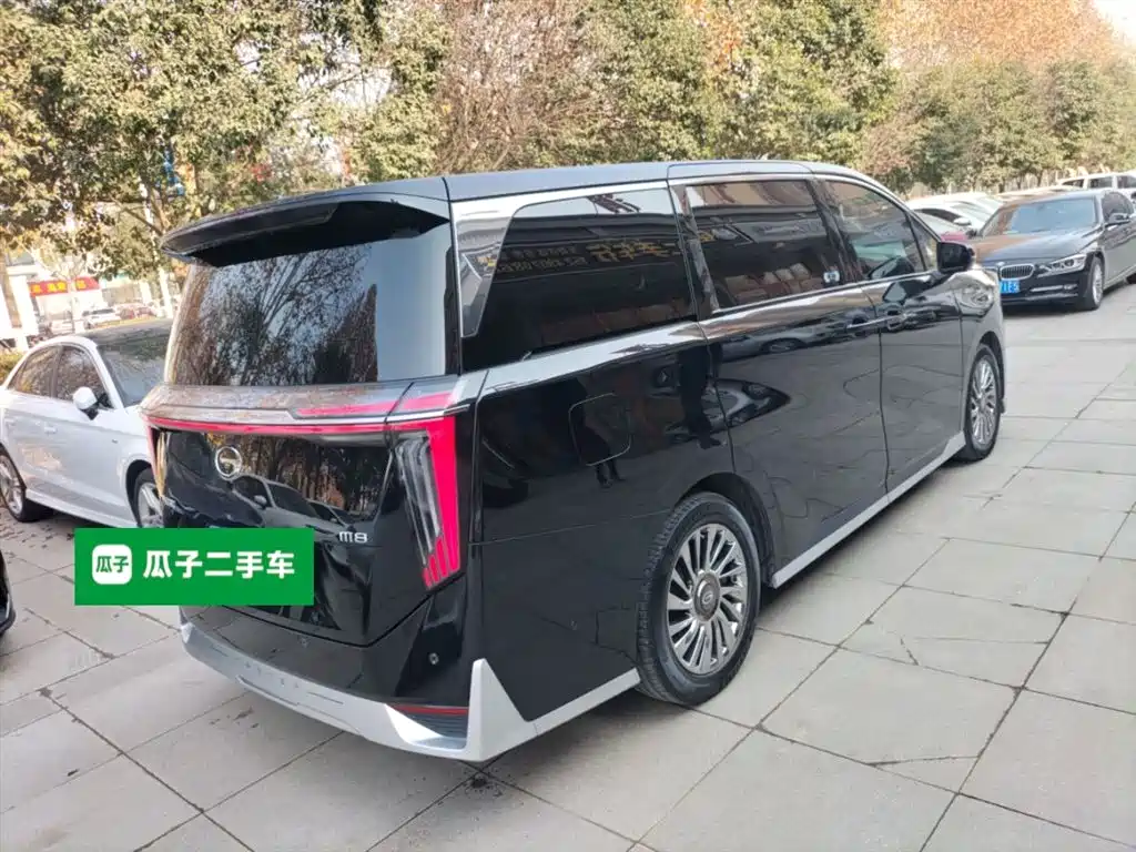 GAC Trumpchi Trumpchi M8 2024 Model Grandmaster Series 400T Pioneer Edition фото 6