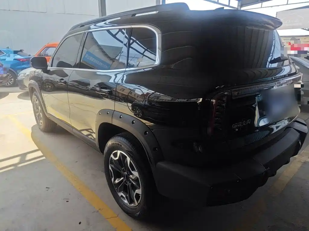Haval Dargo 2024 2024 2.0T DCT Chinese Rural Dog Edition