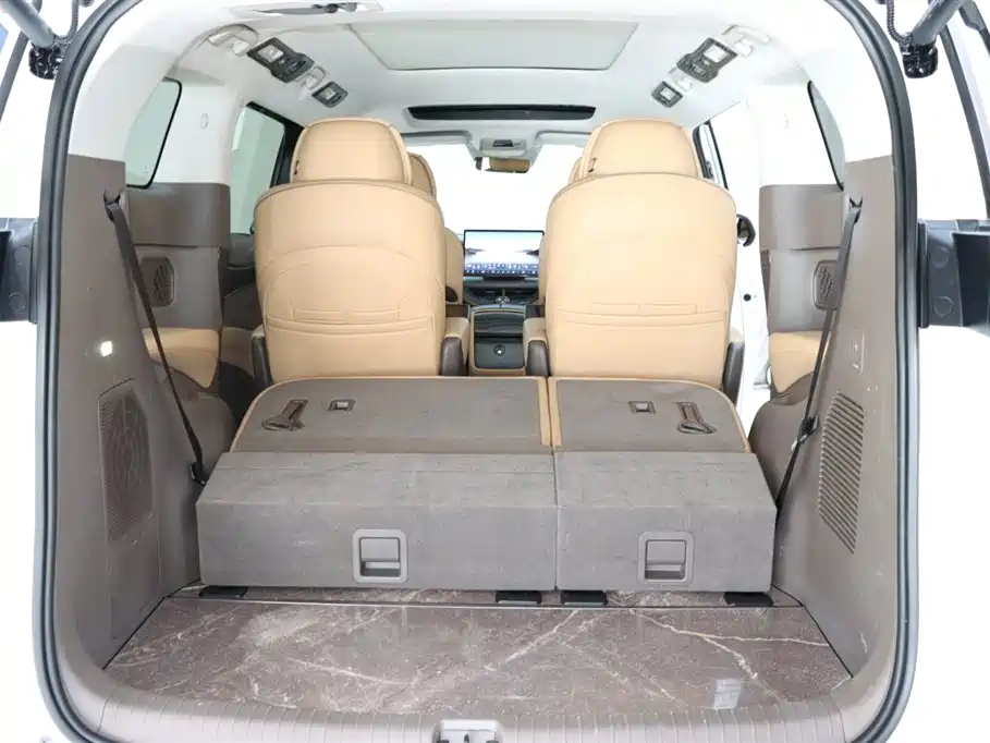 Denza D9 2022 DM-i 970 AWD Flagship фото 19