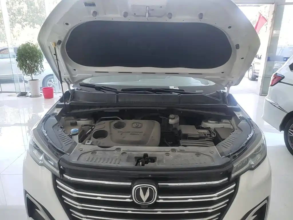 Changan CS55 PLUS 2019 2020 1.5T Automatic Color Edition