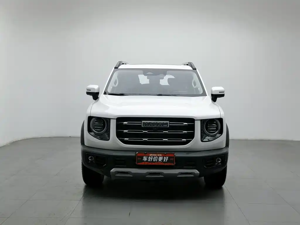 Фото 3 - Haval Dargo