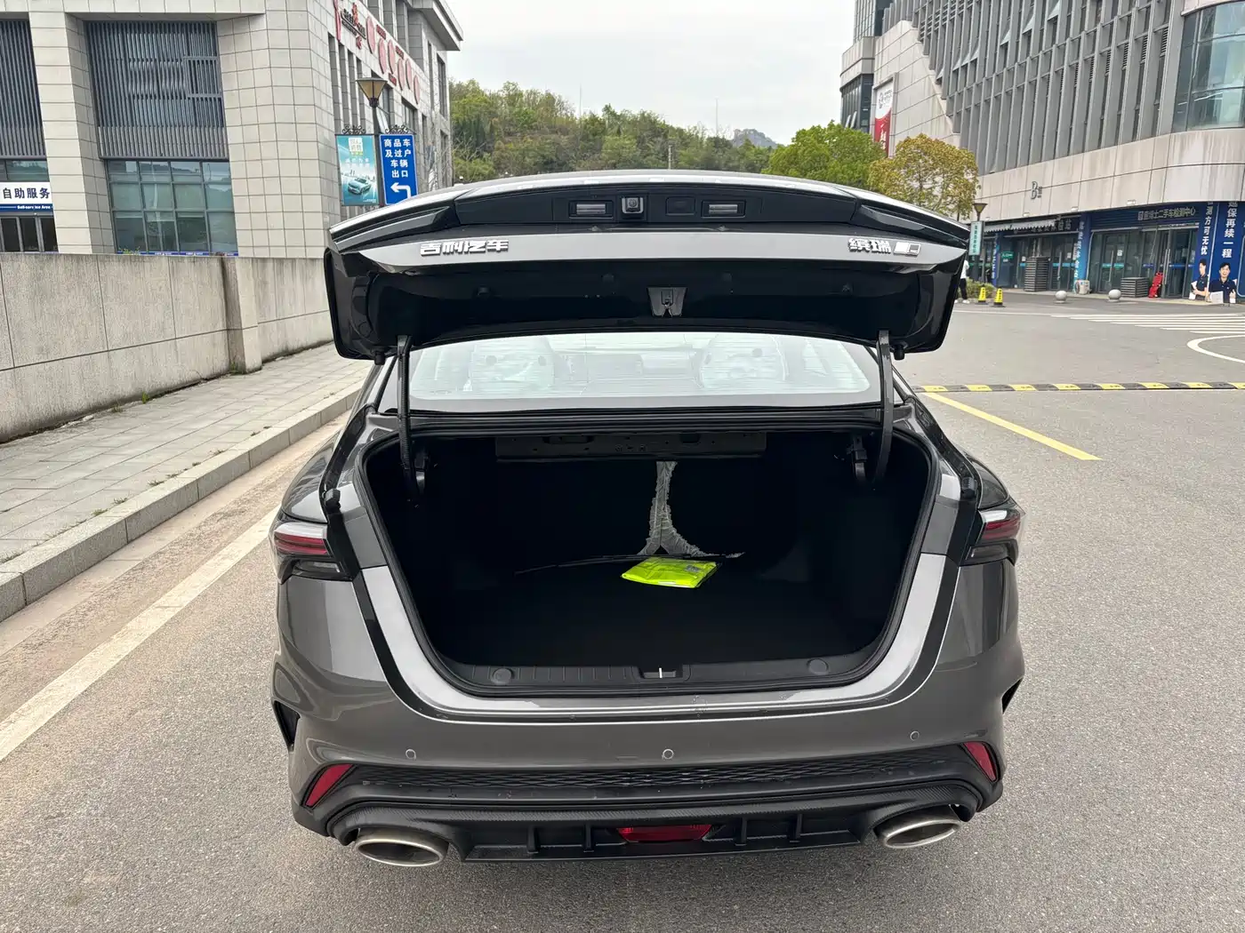 GEELY AUTOMOBILE BINRUI