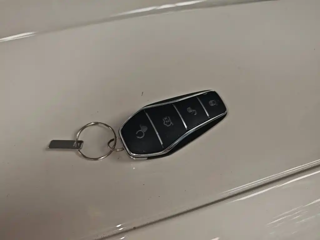 BYD Seagull 2026 2025 Smart Drive Edition 305km Vitality Version