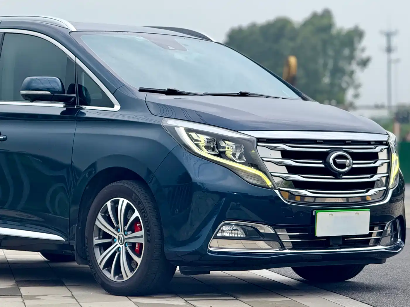 GAC Trumpchi Trumpchi M8 2018 320T Flagship Edition фото 7