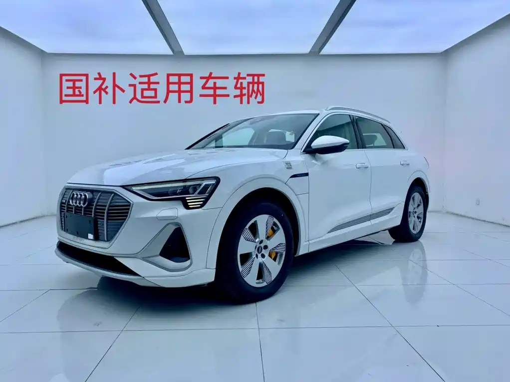 Audi e-tron 2026 2021 50 quattro Luxury