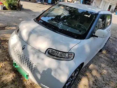 Ora White Cat