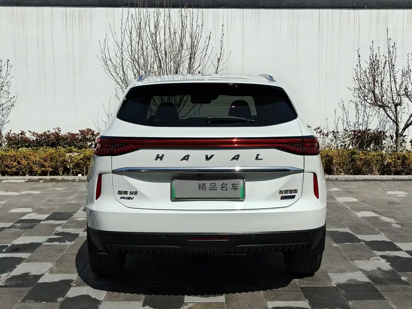 HAVAL H6 NEW ENERGY