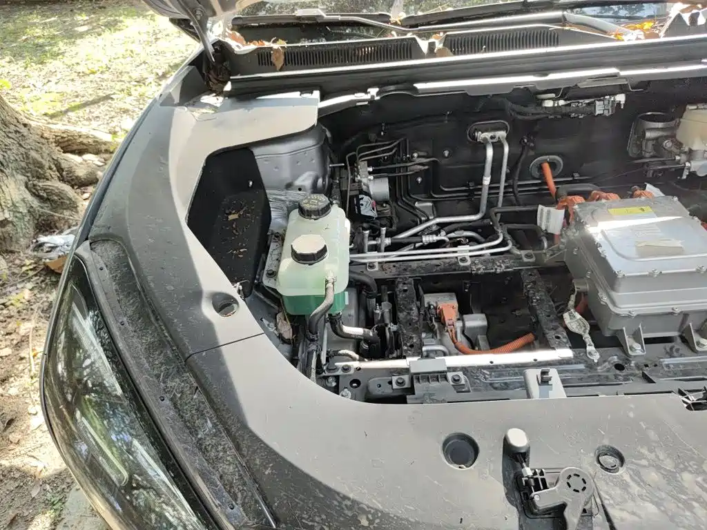 Baojun Yunhai 2025 2024 600km Pure Electric Version