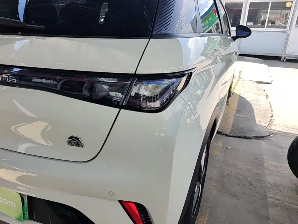 Фото 24 - BYD Dolphin
