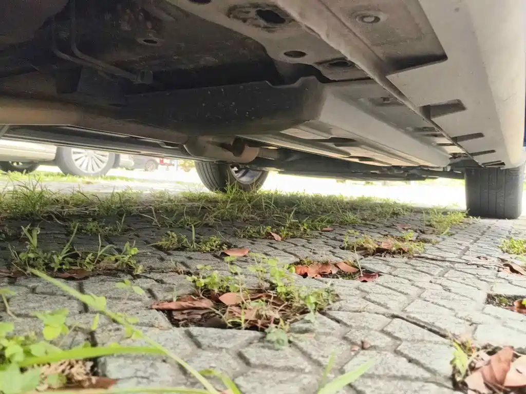 Haval Chitu 2022 2021 Boost Edition 1.5T Platinum Rabbit