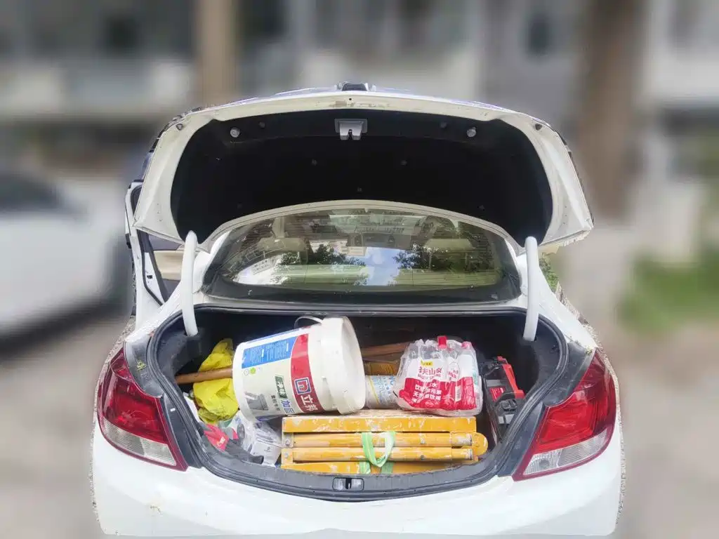 صورة 5 - Buick Regal