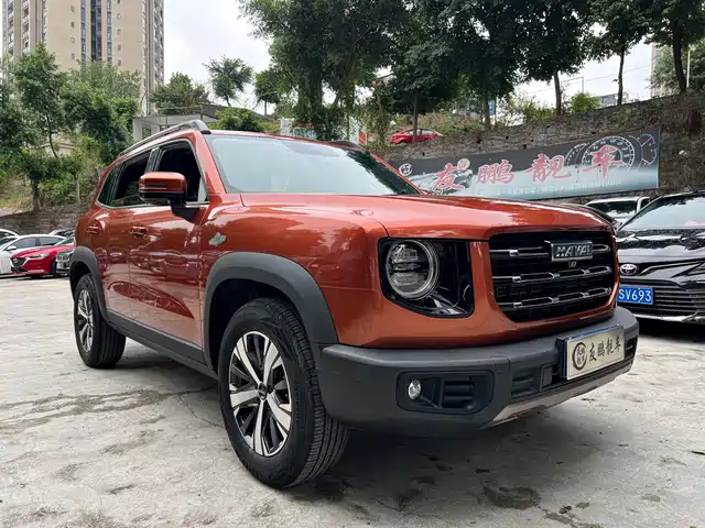 Haval Big Dog 2021 1.5T DCT 2WD Labrador Edition — фото 3