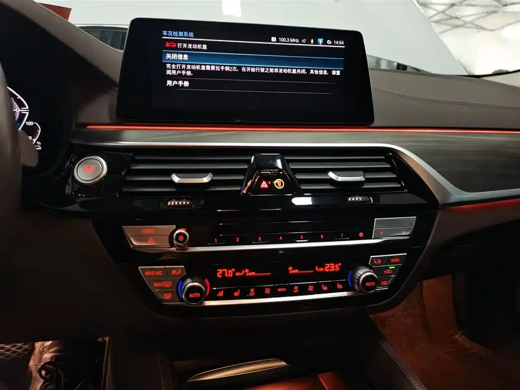 BMW 5 Series New Energy 2020 530Le Range Upgrade Pioneer Edition фото 10