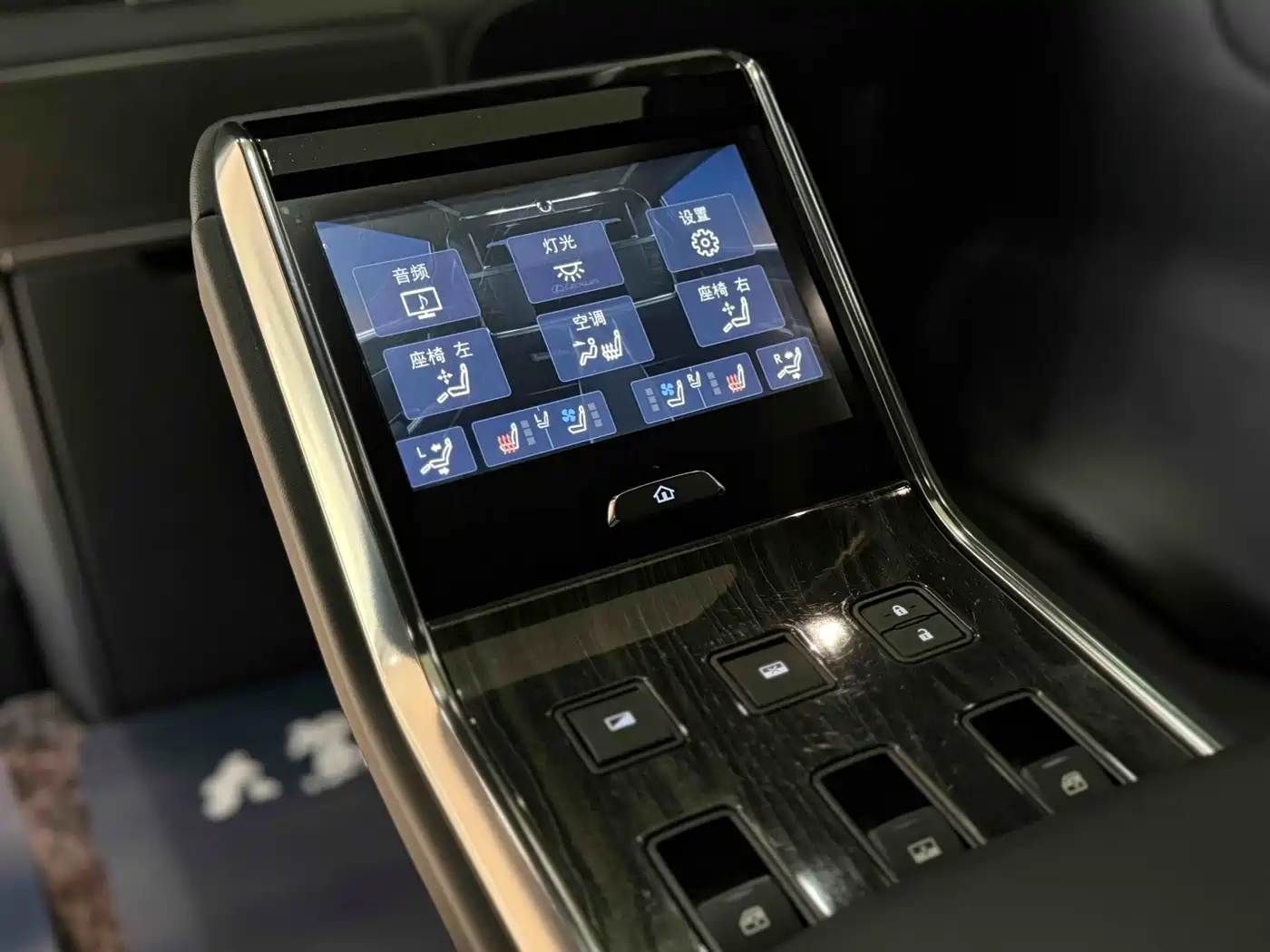 Lexus LM 2020 300h 4-Seat Imperial Edition фото 16